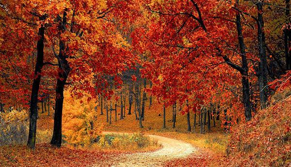 عکس پاییز سه بعدی
