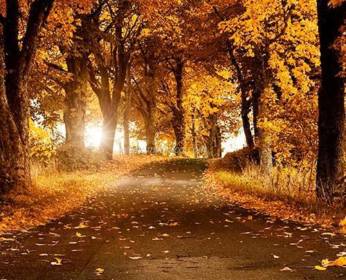عکس پاییز سه بعدی