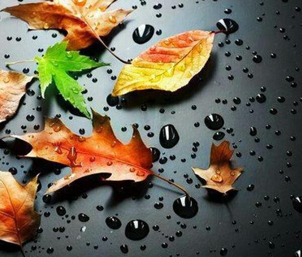 عکس پاییز سه بعدی