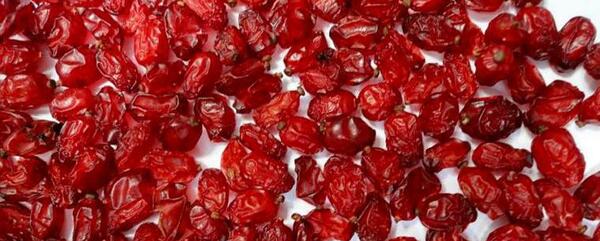 عکس و خواص زرشک