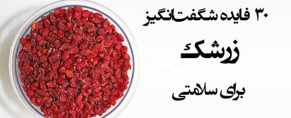 عکس و خواص زرشک