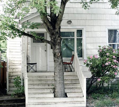عکس طبیعت حیاط