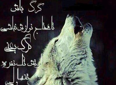 عکس پروفایل تنها ولی وحشی
