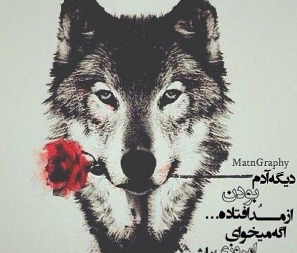 عکس پروفایل تنها ولی وحشی