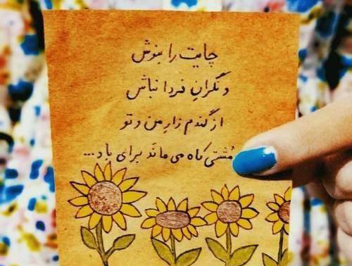 عکس نوشته گندم زار