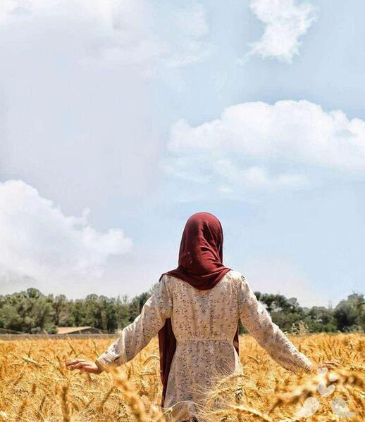 عکس نوشته گندم زار