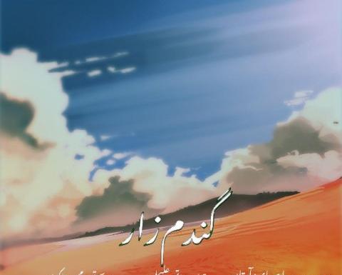 عکس نوشته گندم زار