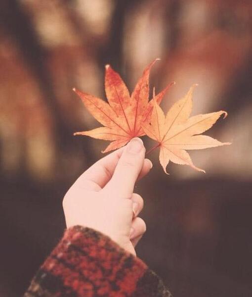 عکس برگ پاییز در دست دختر