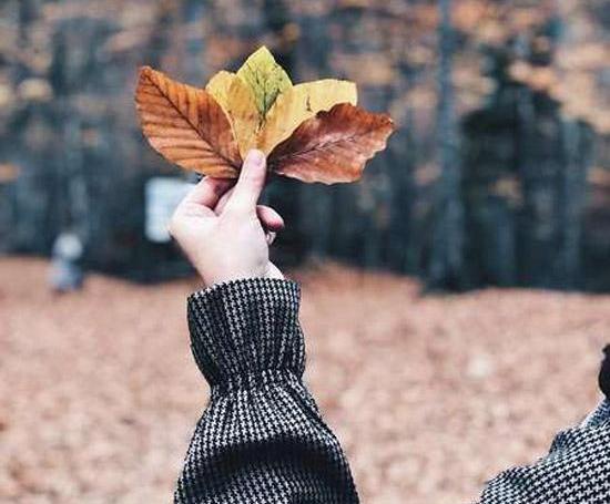 عکس برگ پاییز در دست دختر