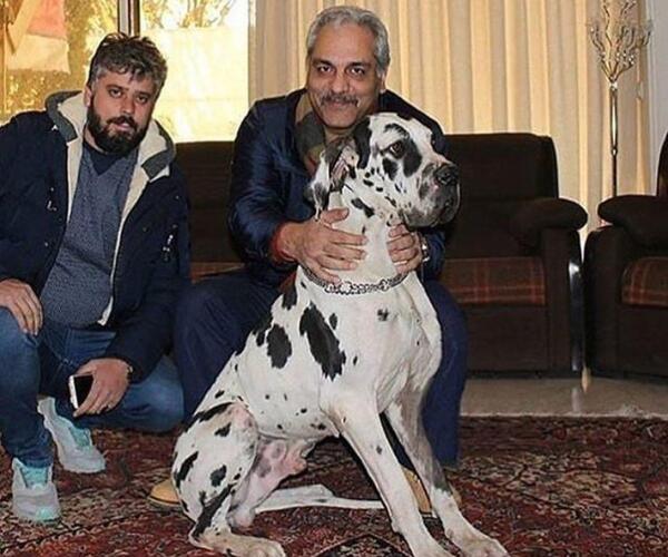 عکس داخل خانه ی مهران مدیری