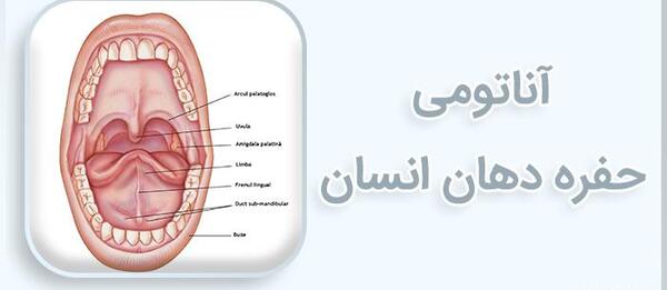 عکس داخل دهان انسان