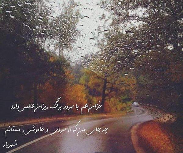 عکس پروفایل جاده پاییزی