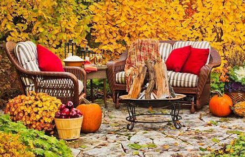 عکس حیاط پاییزی