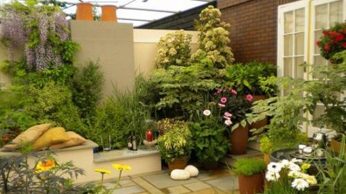 عکس حیاط پاییزی