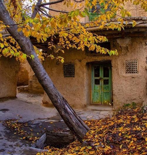 عکس حیاط پاییزی