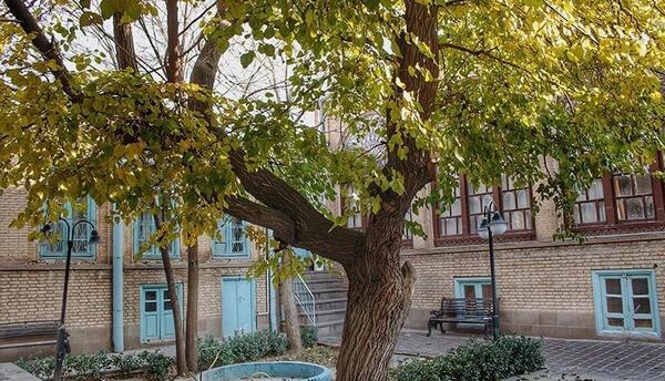 عکس حیاط پاییزی