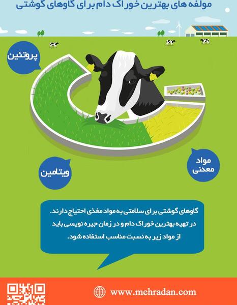 عکس غذا گاو