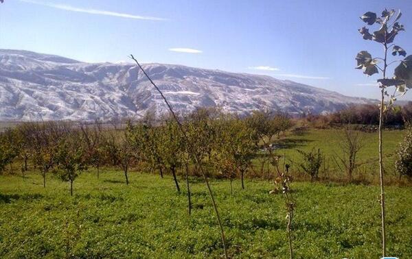 عکس روستای طوق