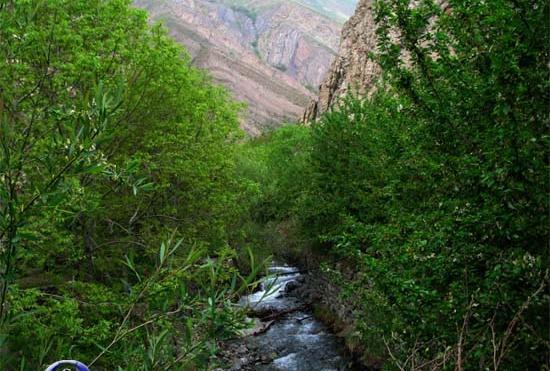 عکس روستای تالون