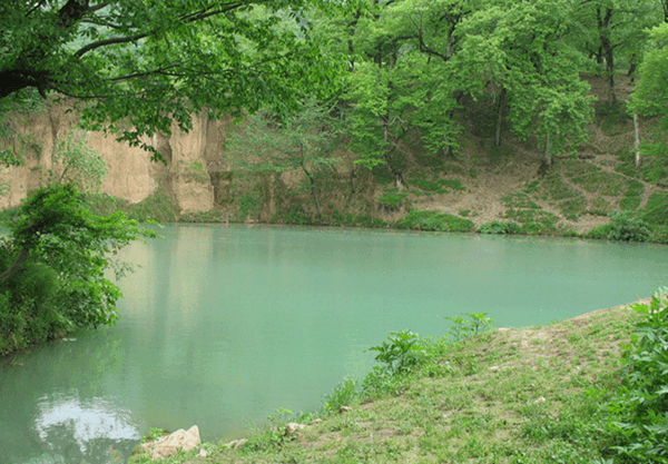 عکس دیدنی گلستان