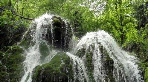 عکس دیدنی گلستان