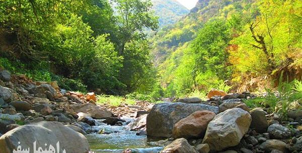 عکس دیدنی گلستان