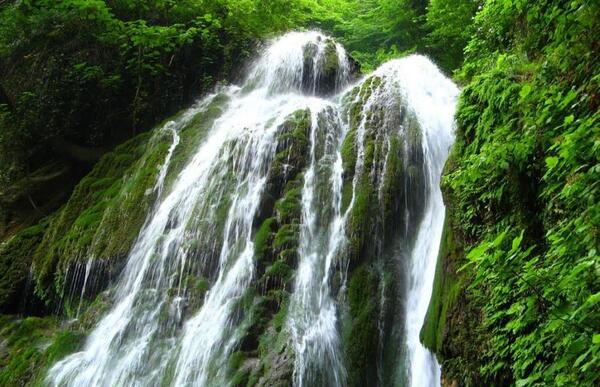 عکس دیدنی گلستان