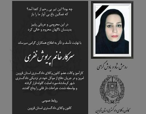 عکس پریوش نظری وکیل