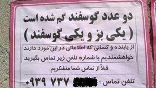 عکس صوتی خنده دار