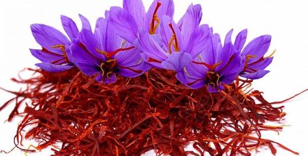 عکس های تبلیغاتی زعفران