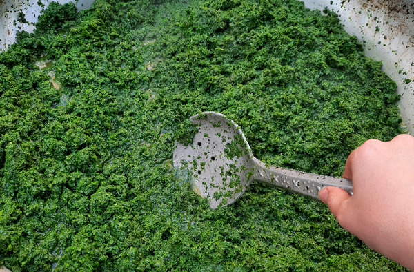 عکس سبزی قورمه خرد شده