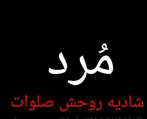 عکس پروفایل صاحب این پروفایل مرد