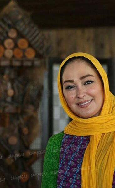 آلبوم عکس الهام حمیدی