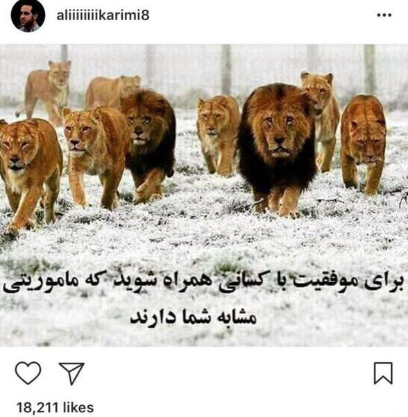 عکس شیر همراه با نوشته