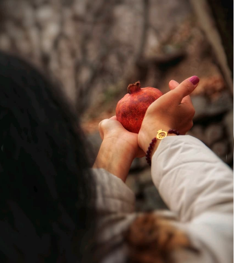 عکس یلدای هنری
