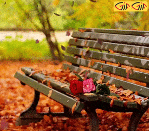 عکس متحرک برگ پاییزی