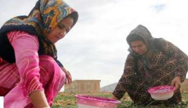 عکس روستای جناقرد