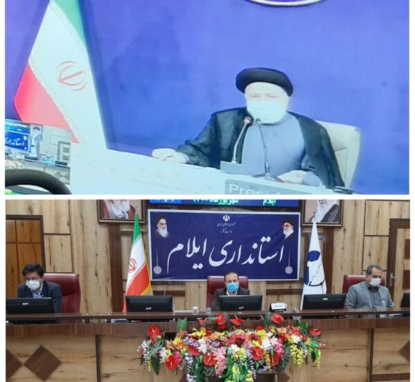 عکس گل اربعین