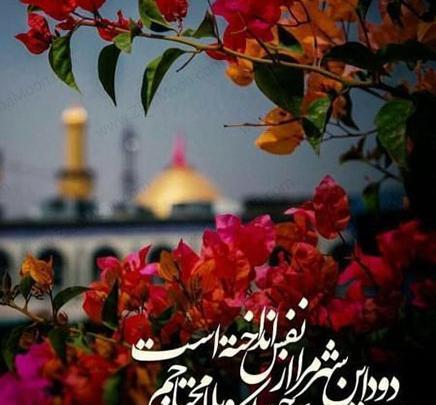 عکس گل اربعین