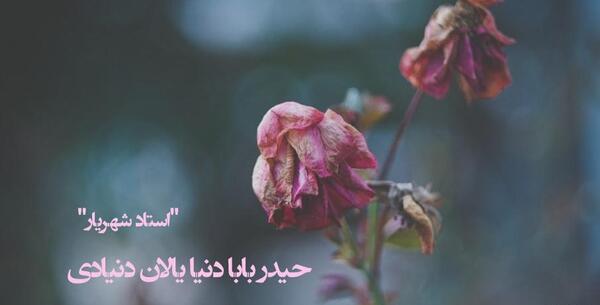 عکس پروفایل حیدر بابا