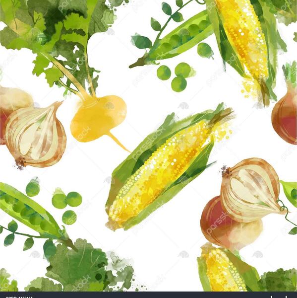 عکس شلغم فرنگی