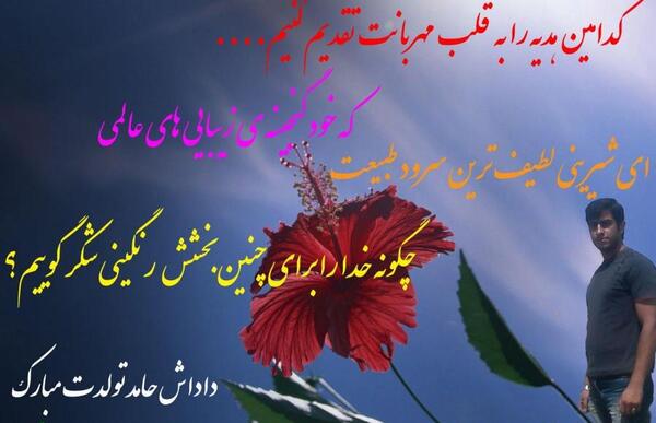 عکس پروفایل داداش حامد