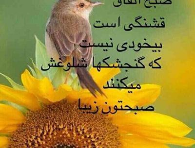 عکس نوشته صبح بخیر پاییز