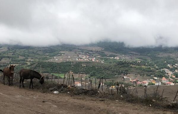 عکس روستای لنگر ساری