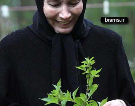 عکس منزل پروانه معصومی