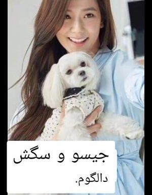 عکس حیوان های بلک پینک