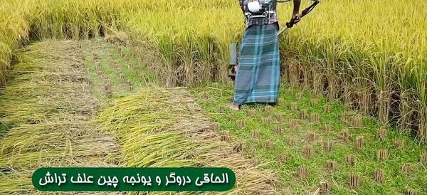 عکس یونجه چین دستی