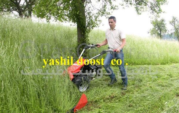 عکس یونجه چین دستی
