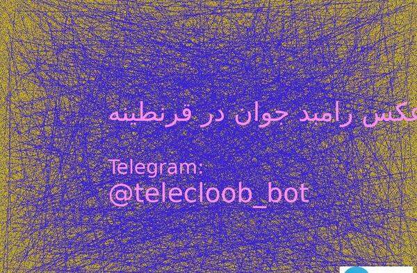 عکس قرنطینه رامبد جوان