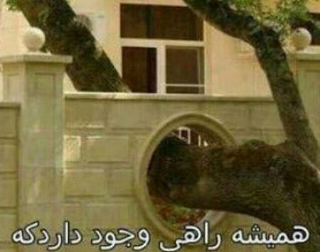 عکس پروفایل دیدنی و جالب